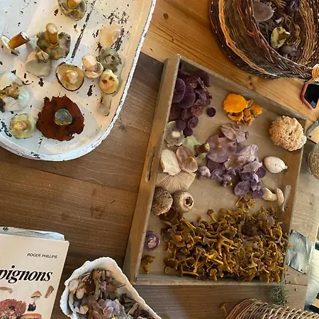 Gasthof Maison Jules 3*