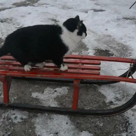 Maison Jules Gasthof