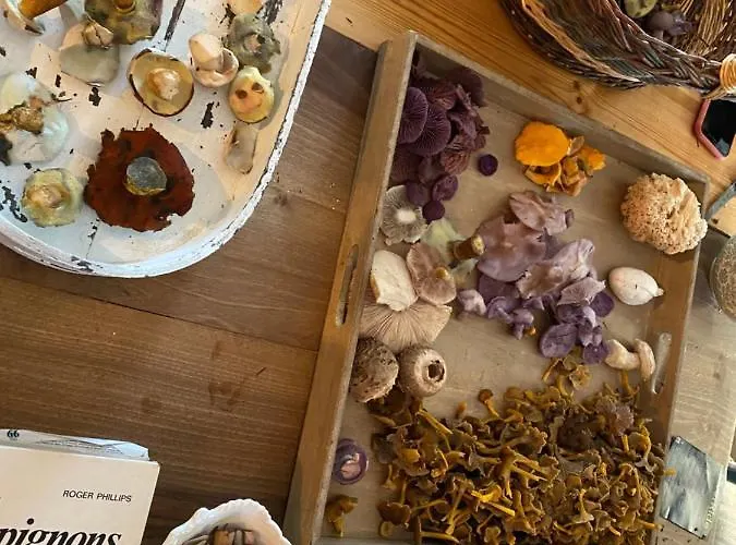 Pensjonat Maison Jules 3*