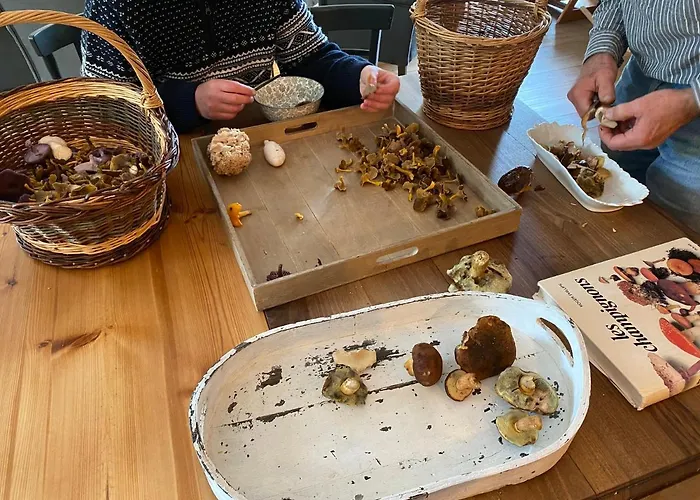 Maison Jules Sainte-Ode