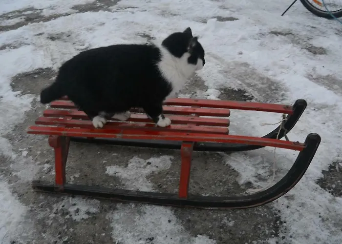 Maison Jules Pensjonat