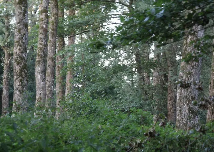 Maison Jules Pensjonat Sainte-Ode